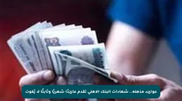 عوائد مذهلة.. شهادات البنك الأهلي تقدم عائدًا شهريًا وثابتًا لا يُفوت